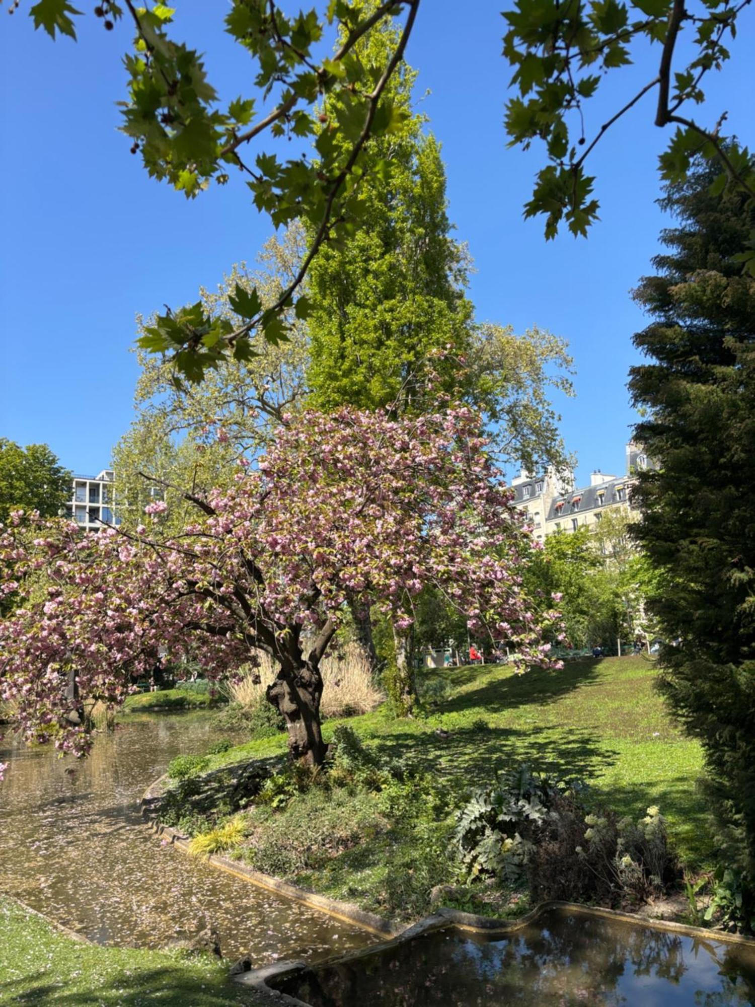 17 - Coeur Batignolles - Beau 10 M2 -110 Sqf - Etat Neuf - Calme - Ideal Personne - Single Occupancy