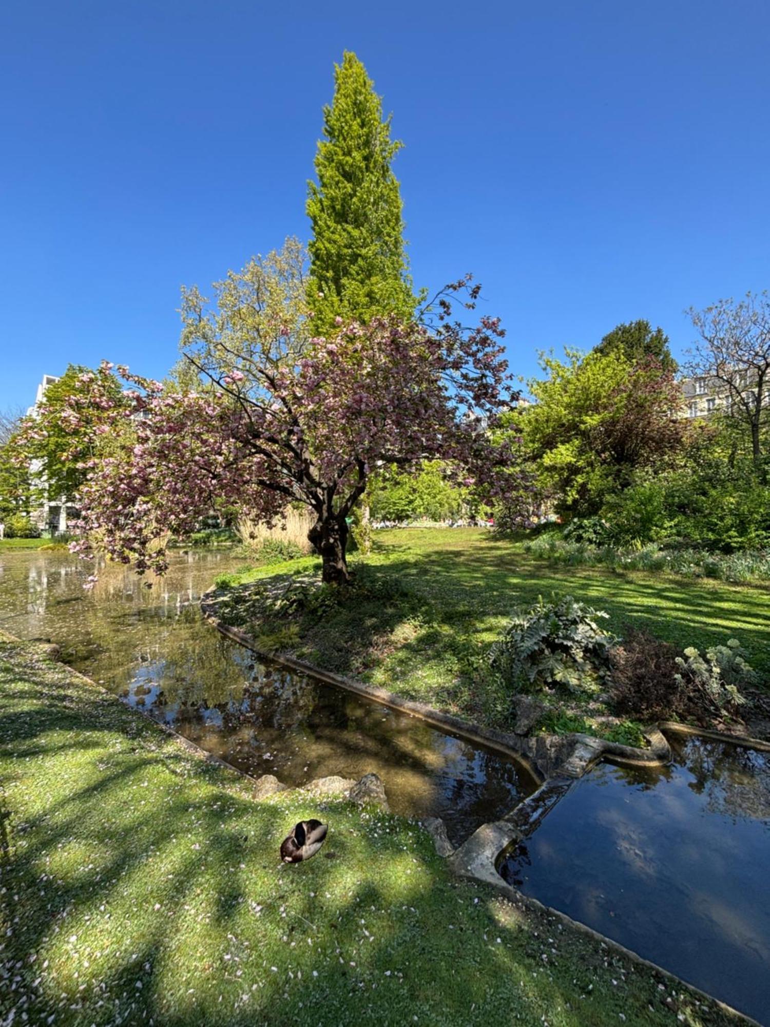 17 - Coeur Batignolles - Beau 10 M2 -110 Sqf - Etat Neuf - Calme - Ideal Personne - Single Occupancy Appartement Parijs